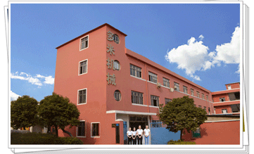 多米機(jī)械:改變世界新動力，革新行業(yè)新格局